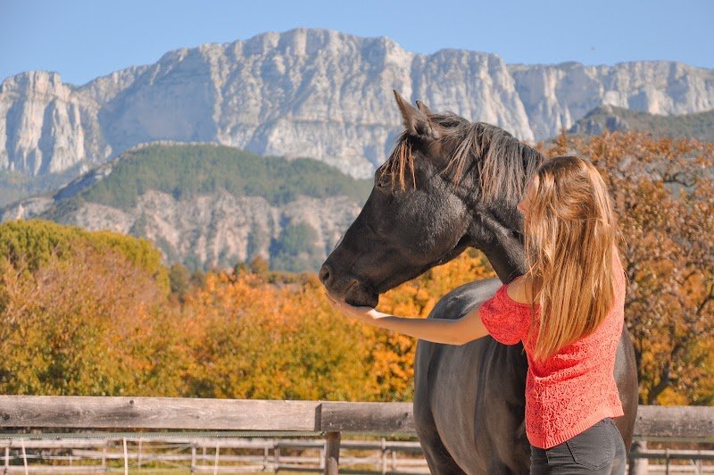 Écuries les chevaux du Diois - photo 3