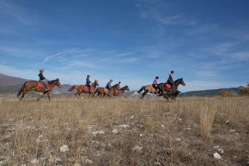 Centre Equestre de Condorcet - photo 1