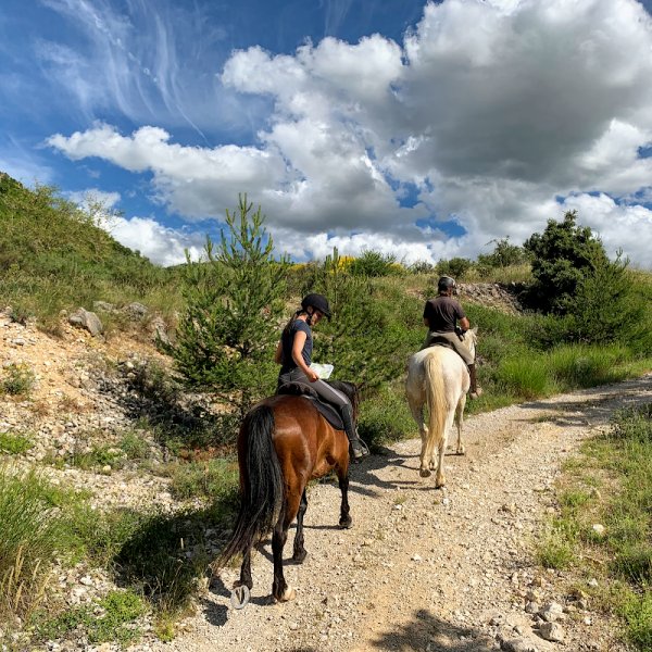 Centre Equestre de Condorcet - photo 2