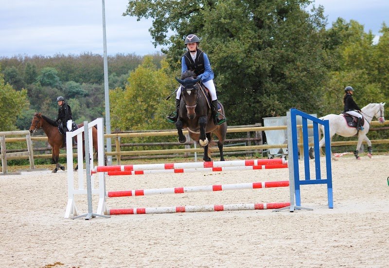 Écurie des Faure - photo 3