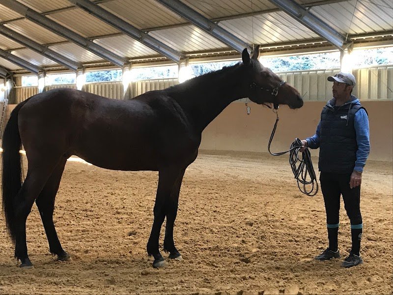 Les Ecuries Du Hardy - photo 2