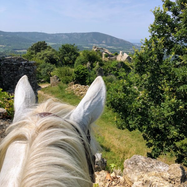 Les Ecuries Du Hardy - photo 3