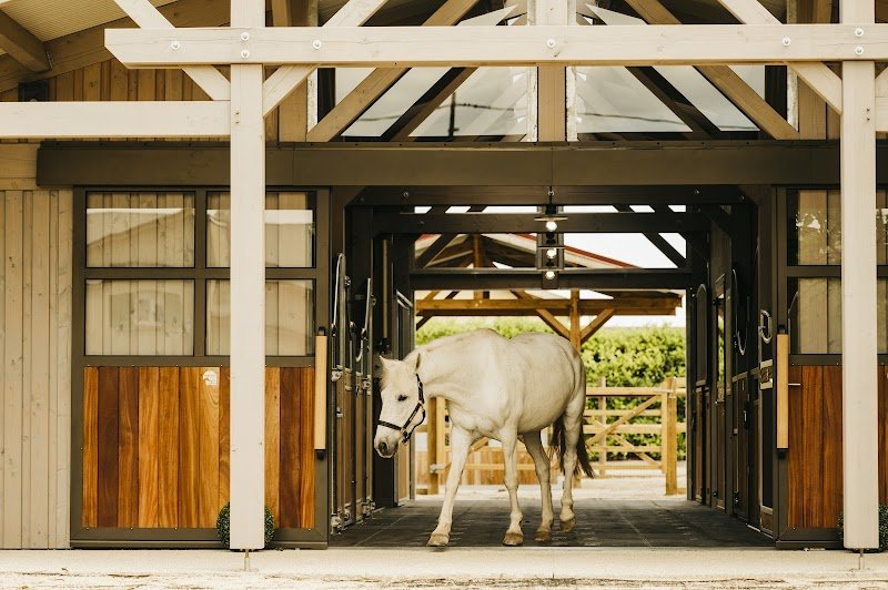 HORSE STOP® - photo 1