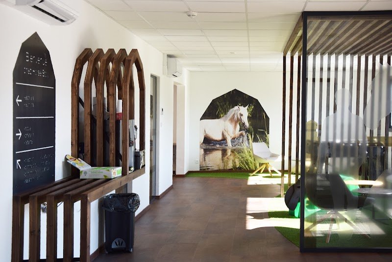 HORSE STOP® - photo 2