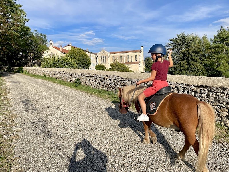 Ferme Equestre de La Loze - photo 2