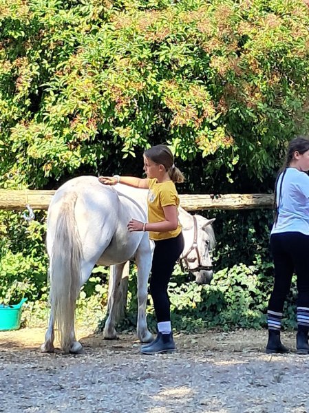 Ferme Equestre de La Loze - photo 3