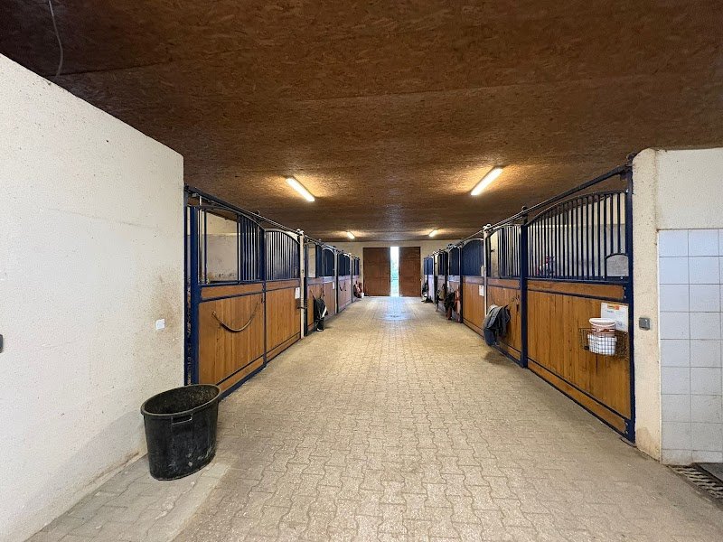 Ecurie Sandra PALLUEL-BURNET site Grangeneuve