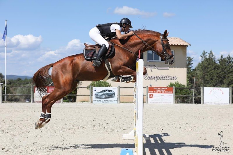 ECURIES DU FRESSY - photo 2