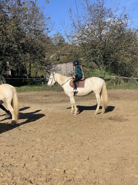 Centre Equestre du Royans - photo 2