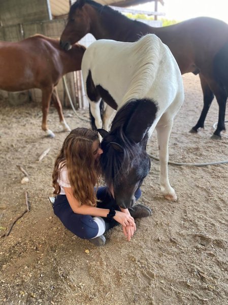 Poney club - photo 2