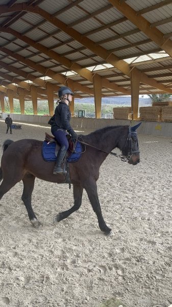 Poney club - photo 3