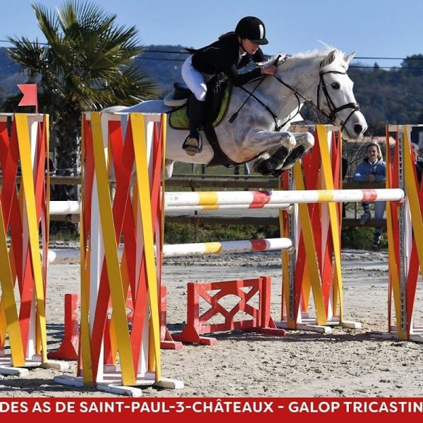 Les Ecuries D Ozula - photo 1