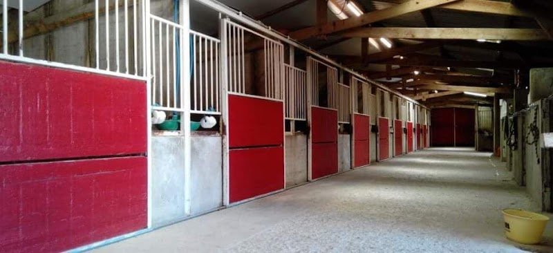 Haras de Fontemieu - photo 1