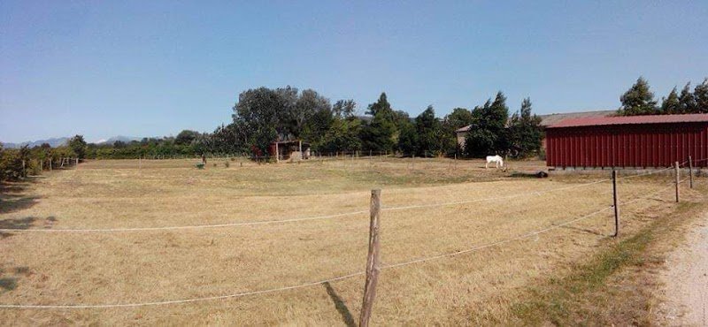 Haras de Fontemieu - photo 2