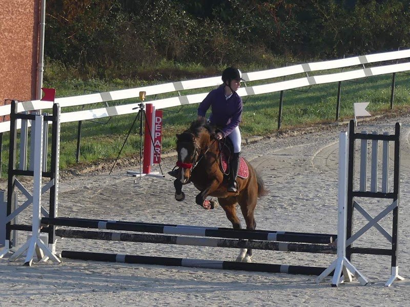 Poney club Les Lavandes - photo 2