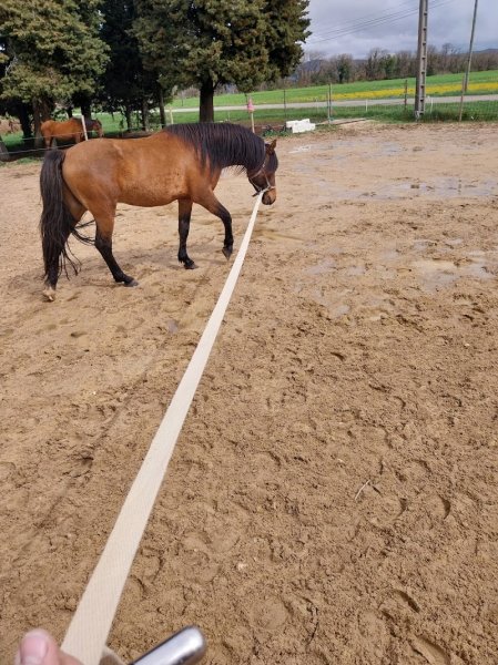 Poney club Les Lavandes - photo 3