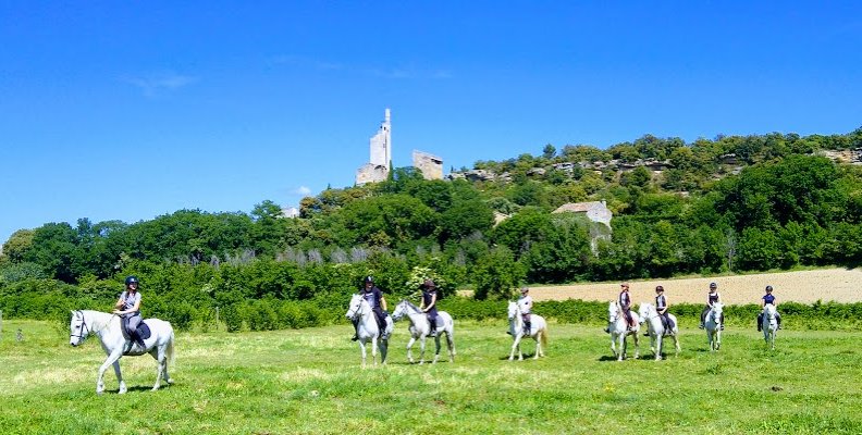 École des Écuyers - Centre de formation équestre - photo 1