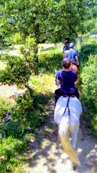 École des Écuyers - Centre de formation équestre - photo 2