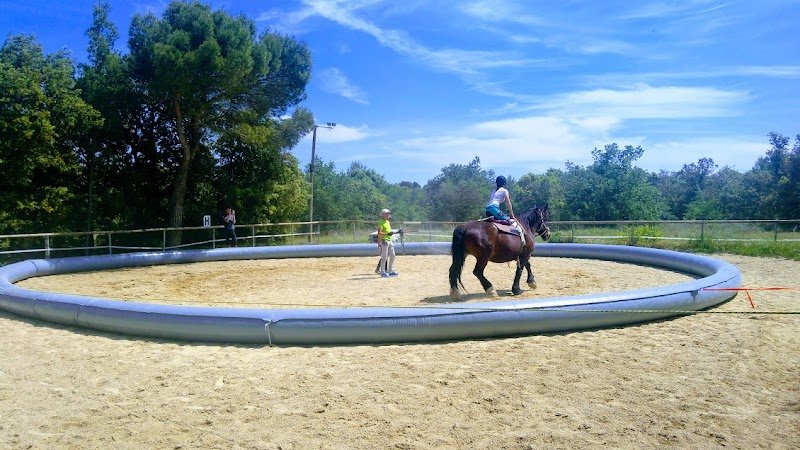 École des Écuyers - Centre de formation équestre - photo 3