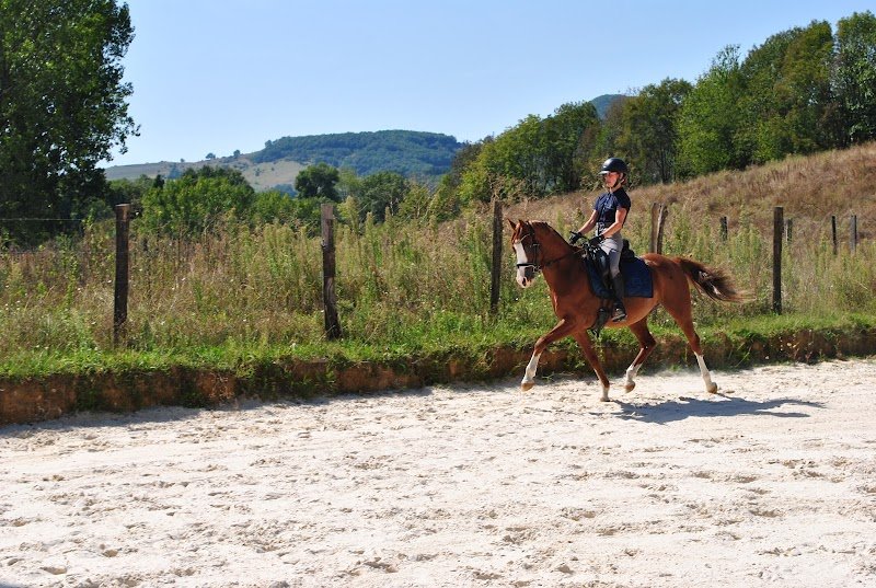 Ecurie du lin - photo 3