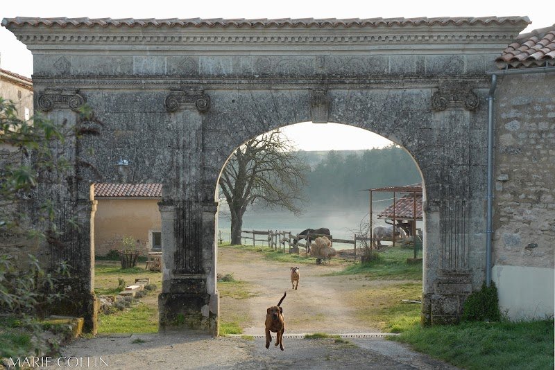 Écurie du Domaine de Chantemerle - photo 1