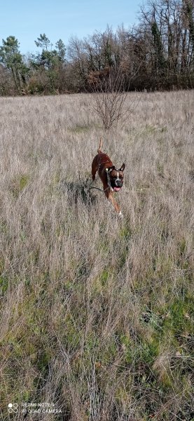 Elevage Pension des Bayannes