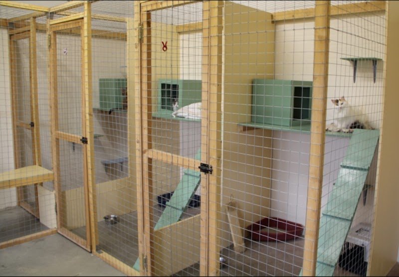 Elevage Pension des Bayannes - photo 3