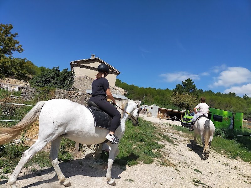 Haras de Saumelongue - photo 3