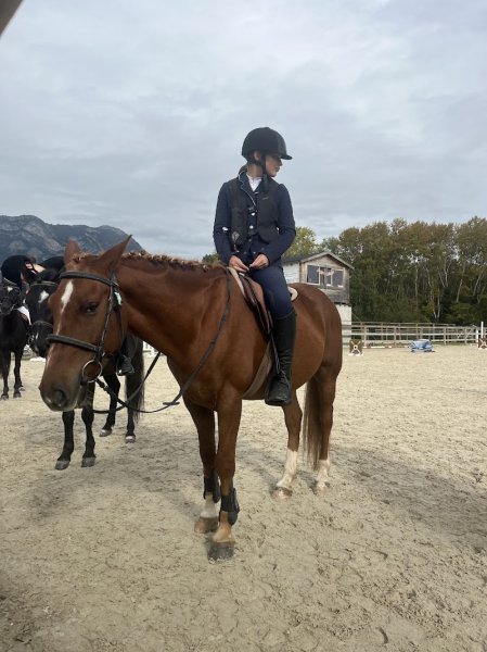Equisport Savoie Les Marches - Pension Stage Compétition