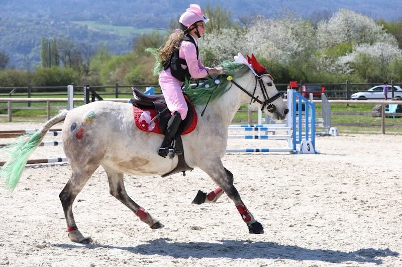 Equisport Savoie Les Marches - Pension Stage Compétition - photo 2