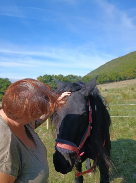 Cheval Chamane - photo 1