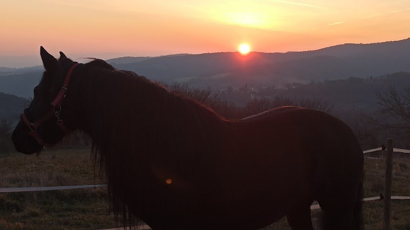 Cheval Chamane - photo 2