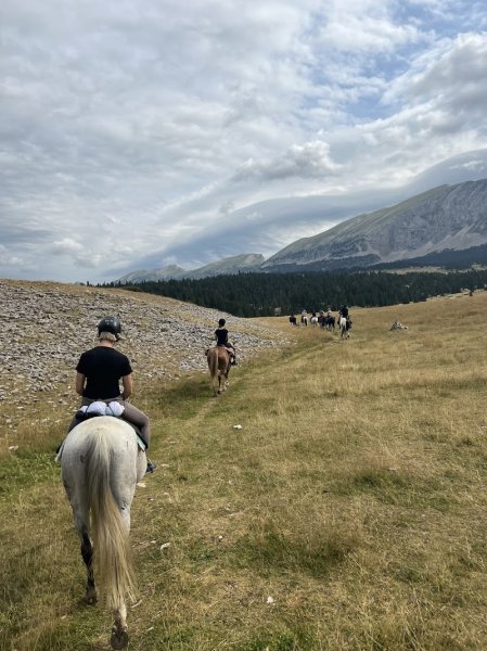 Le Vercors a Cheval - photo 1
