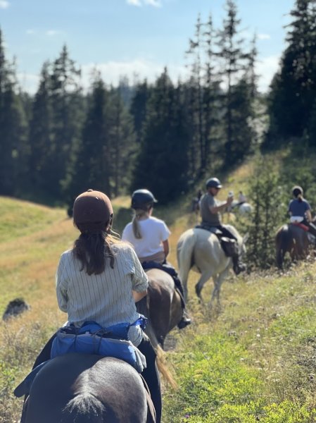 Le Vercors a Cheval - photo 2