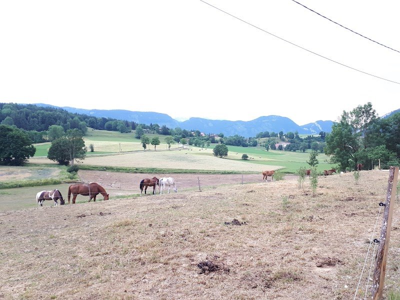 Le Vercors a Cheval - photo 3