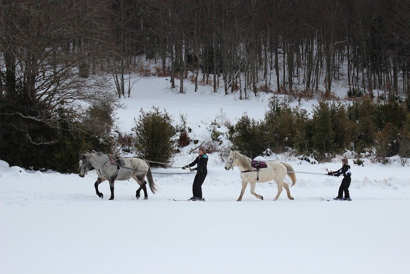 Parole De Cheval - photo 2