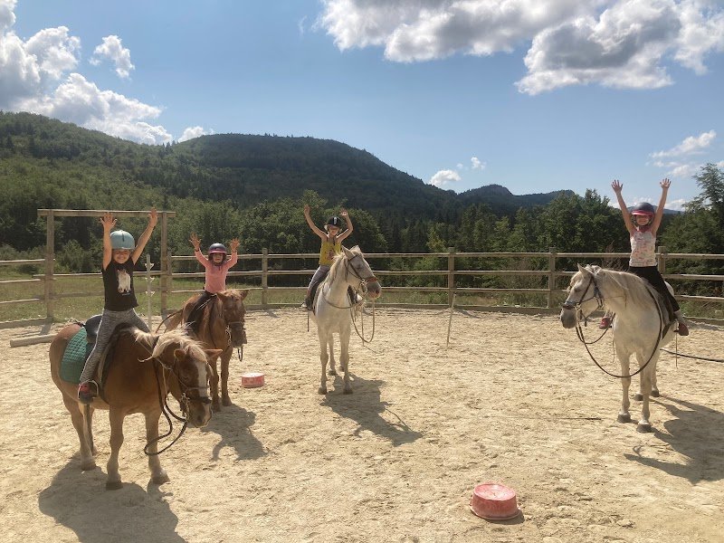 Parole De Cheval - photo 3