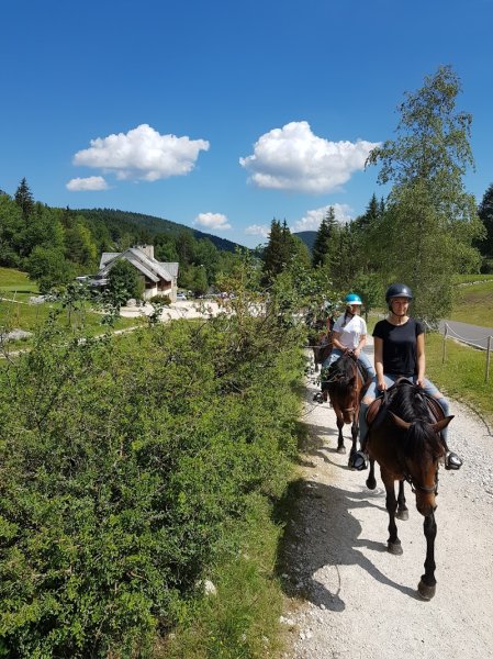 Les Ecuries de Corrençon-en-Vercors - photo 2