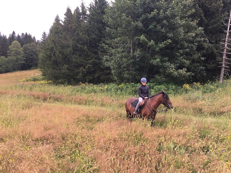 Les Ecuries de Corrençon-en-Vercors - photo 3