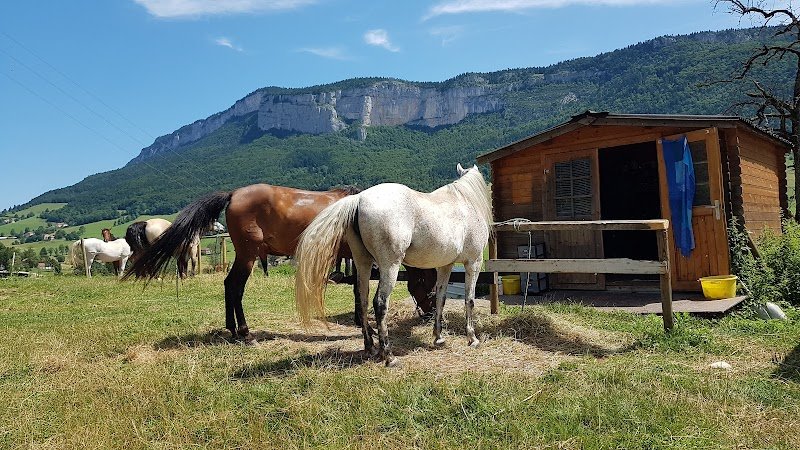 Cavaliers des Revoux - photo 3