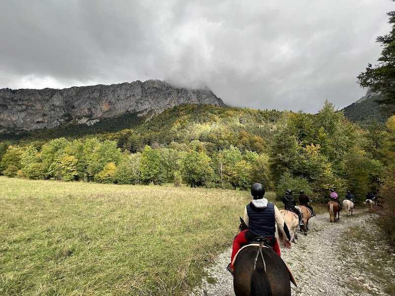 Ferme Equestre les Quatre Chemins - photo 3