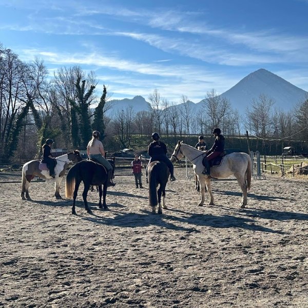 A.P. ECURIE - photo 1