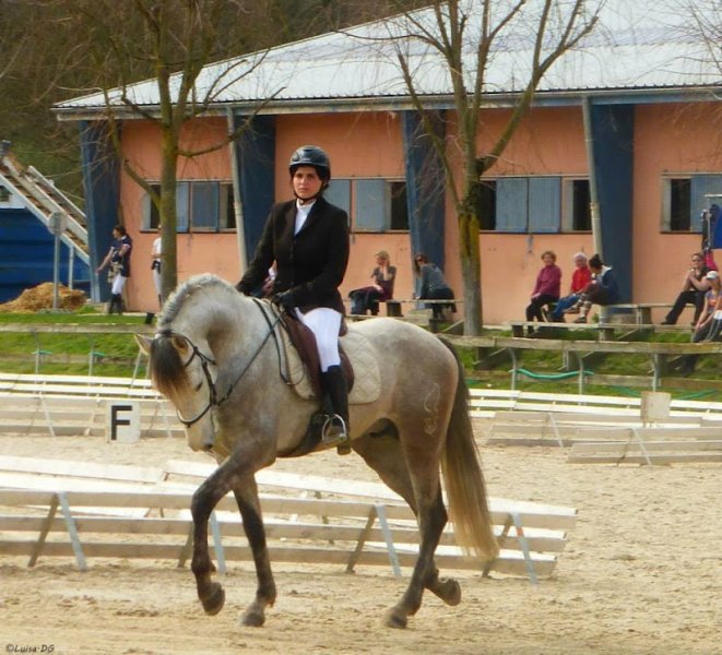 A.P. ECURIE - photo 2