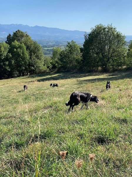 Pension des collines de b
