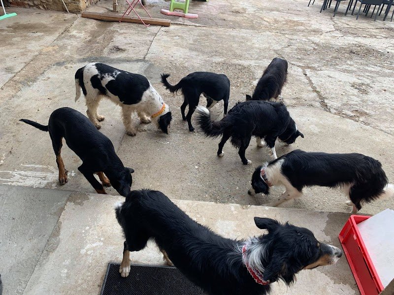 Pension des collines de b - photo 2