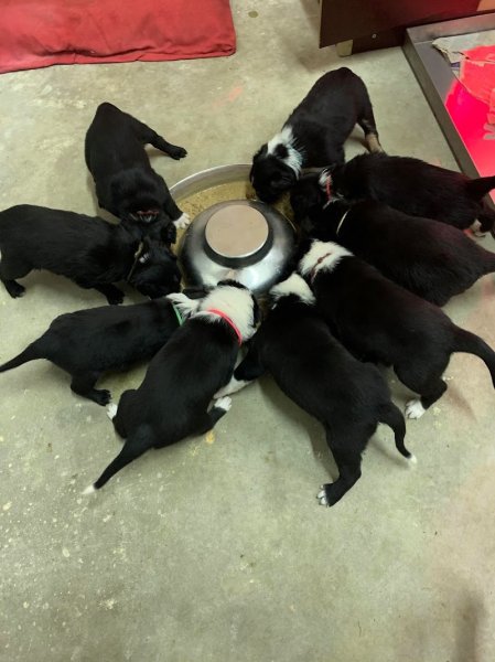 Pension des collines de b - photo 3