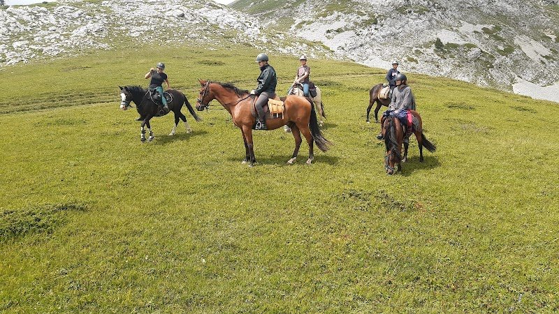 Cavaliers Voconces - photo 1