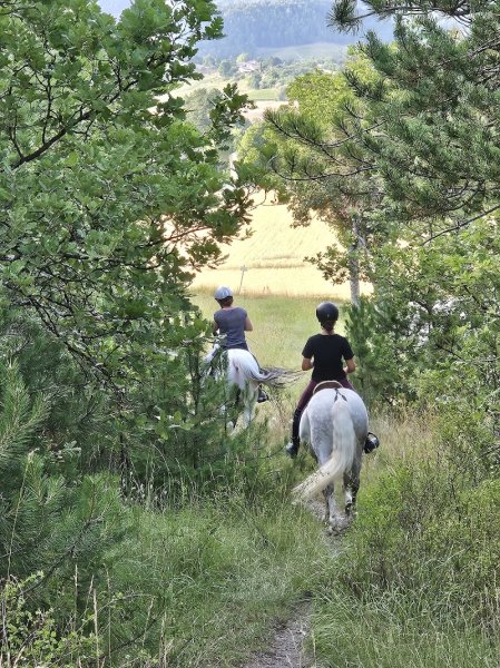 Cavaliers Voconces - photo 2