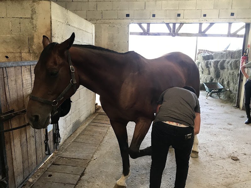 Les écuries du Rousine - photo 3