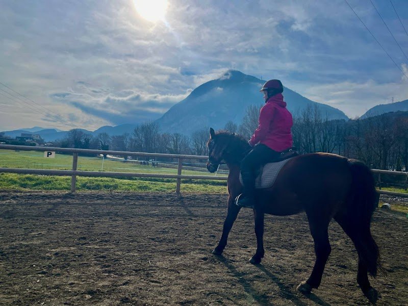 Ferme Equestre du Vercors - photo 3